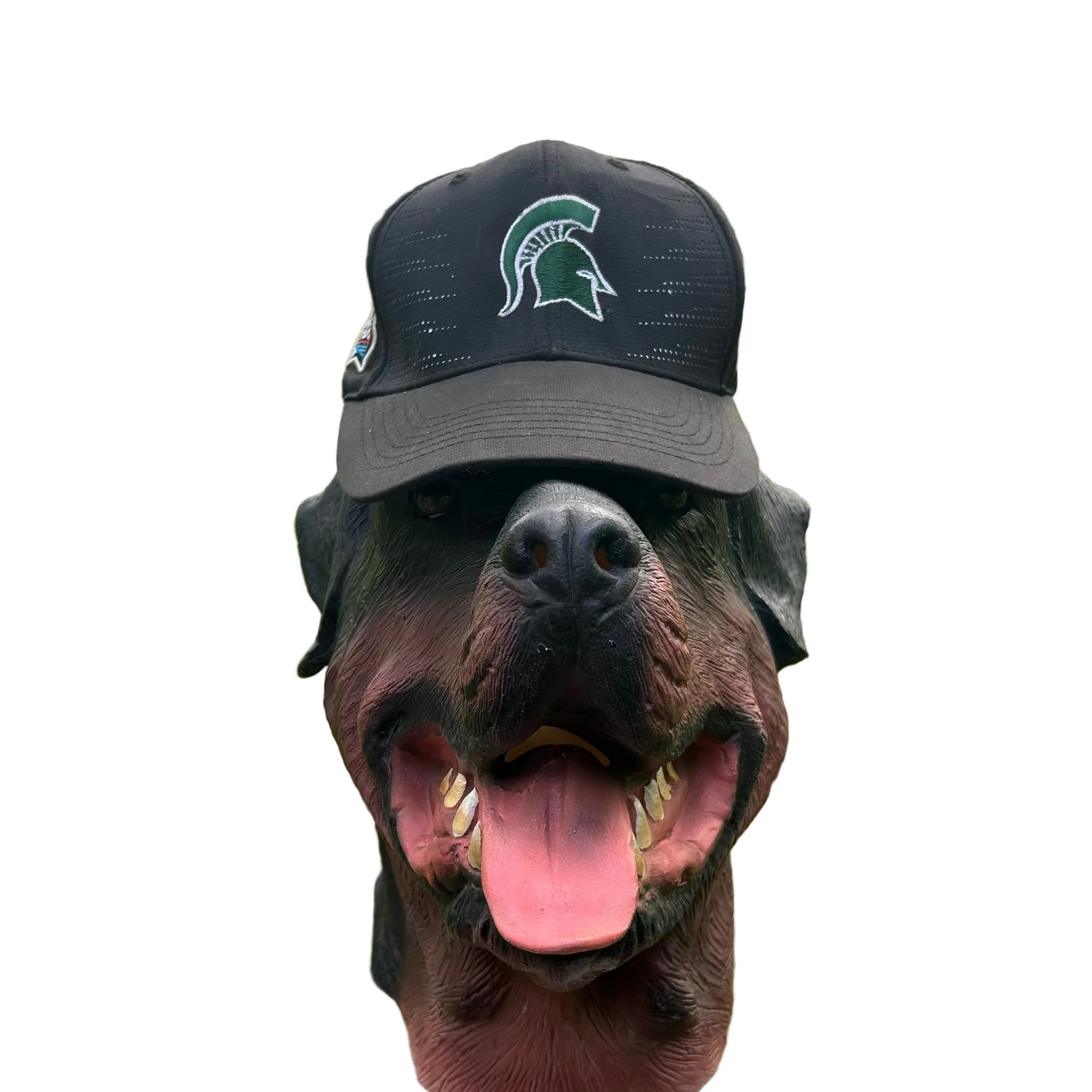 2019 Final Four Michigan State Spartans Basketball Black TOW Caps Hat