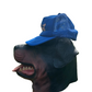 80/90's Pabst Blue Sportcap Trucker Hat