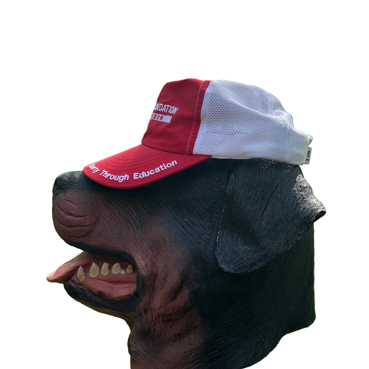 NRA Foundation Teach Freedom Liberty Through Education Red White Americap Trucker Hat