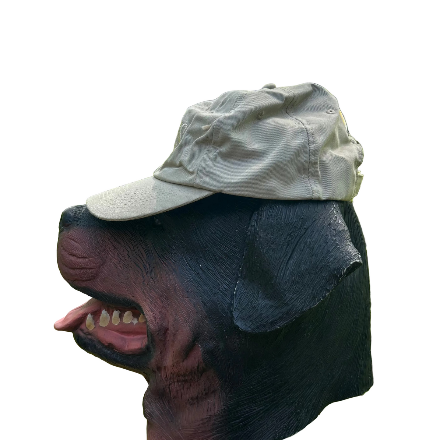 Sportsman Warehouse Outfitter Nikon Tan Outdoor Cap Hat