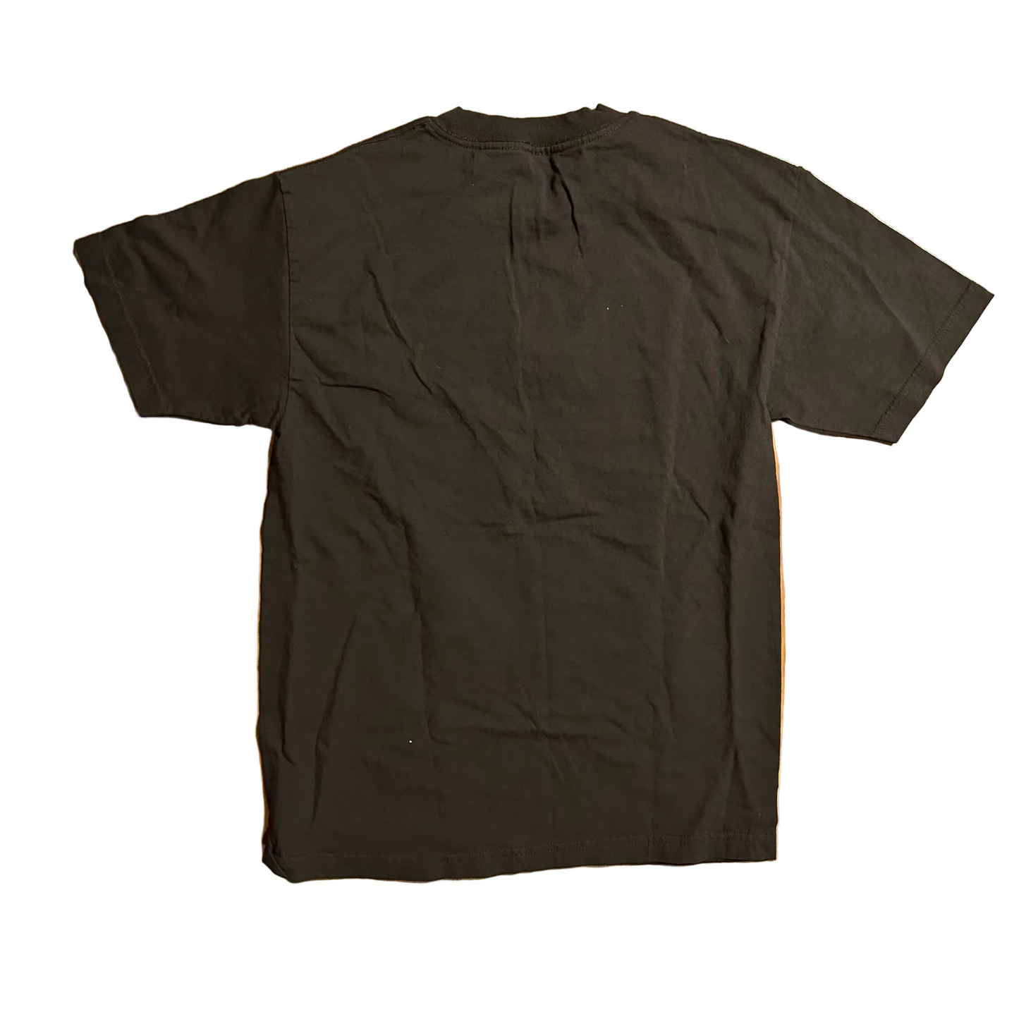 Canada Rugged Wilderness Brown Tshirt - Small - 19" x 27"