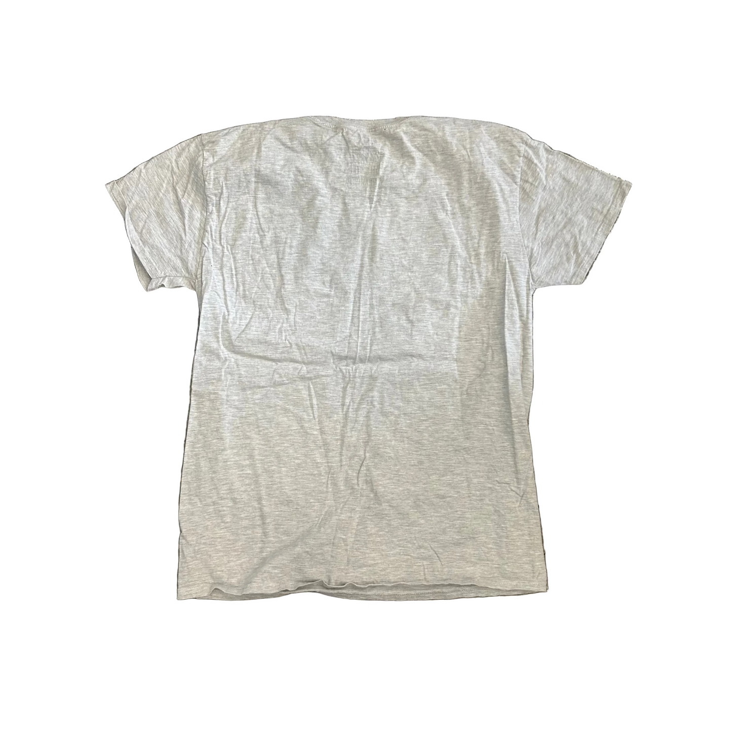 Budapest Grey Tshirt - Medium - 21" x 28"