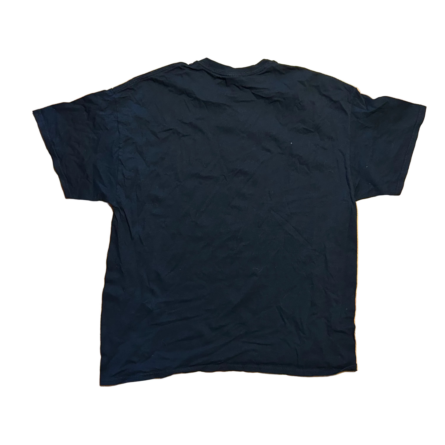 Gildan An Apple A Day Keeps The Windows Away Black Tshirt - Large - 22" x 27"