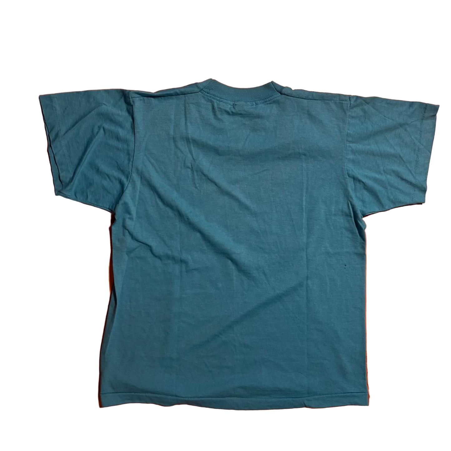 90’s FOTL New River Survivor Expeditions Teal Blue Tshirt - Small - 19.5" x 24"