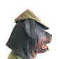 Propeller Hat Hat