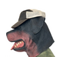 Wrangler Brown Tan Trucker Hat