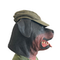 Carhartt Carphartt Olive Green Hat