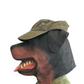Carhartt Carphartt Olive Green Hat