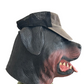 Carhartt Carphartt Black Brown Trucker Hat