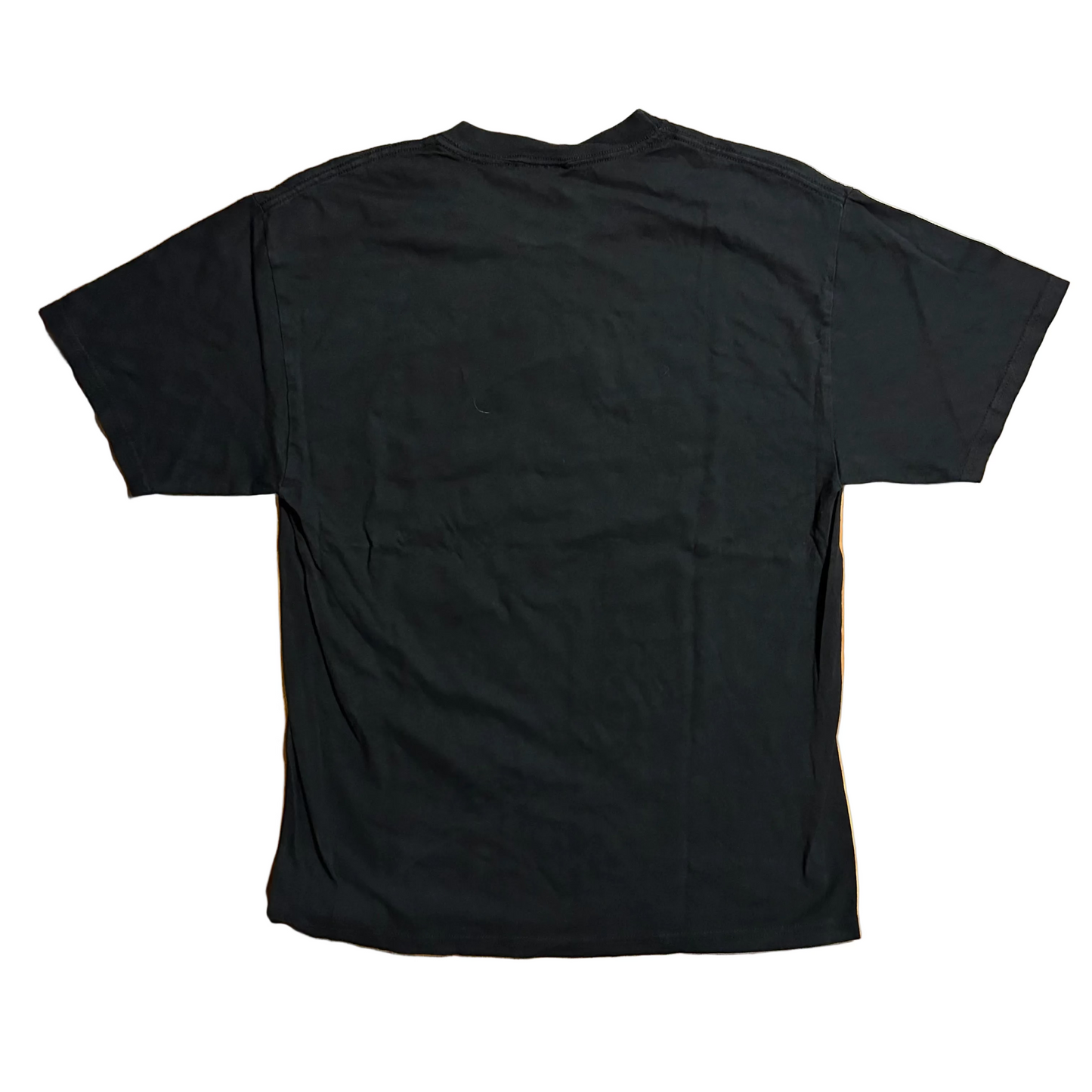 Hanes Heavyweight I Almost Survived Mardi Gras New Orleans Black Tshirt - Small - 19.5" x 28.5"