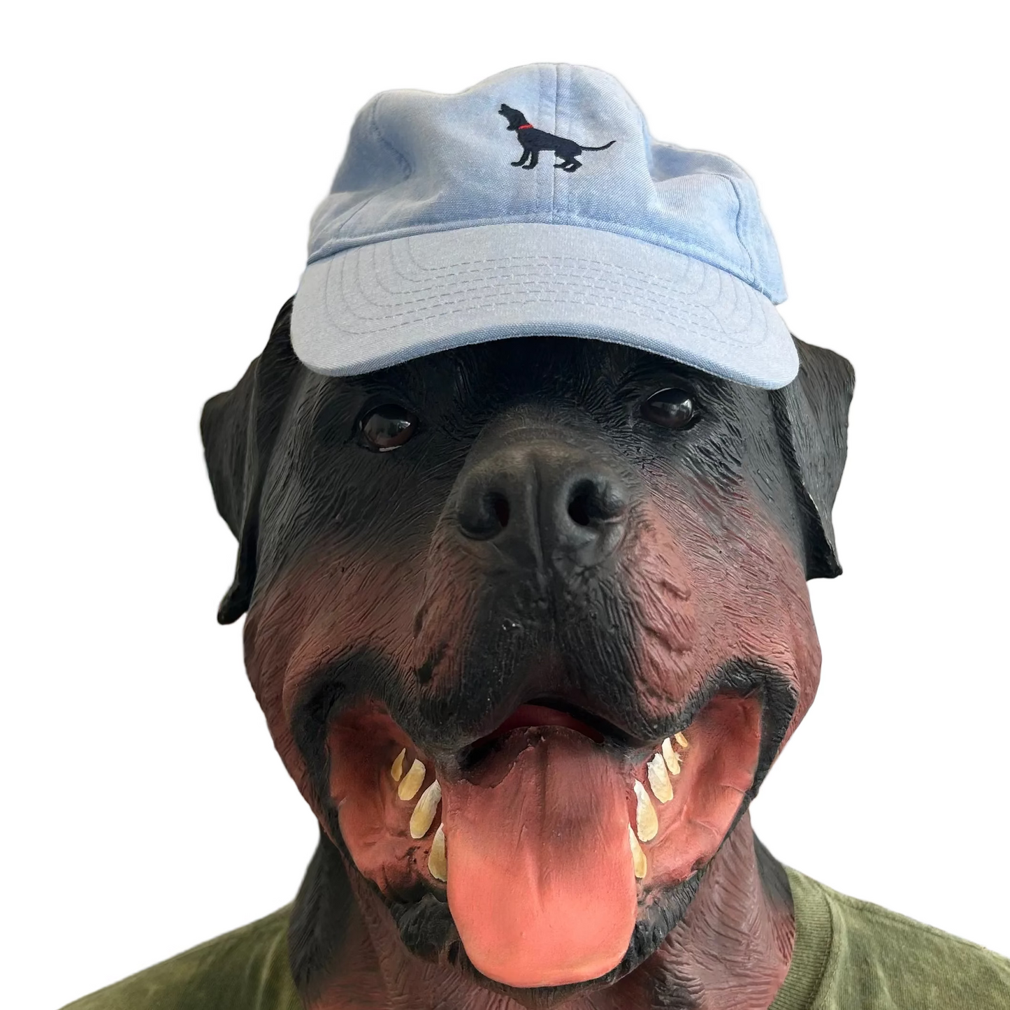 Southern Fried Cotton Black Dog Blue Hat