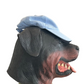 Southern Fried Cotton Black Dog Blue Hat