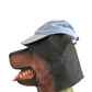 Southern Fried Cotton Black Dog Blue Hat