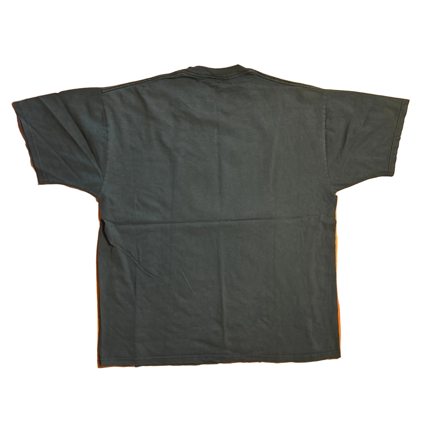 Disney Mickey Mouse Missouri Teal Green Tshirt - Large - 23.5" x 29"