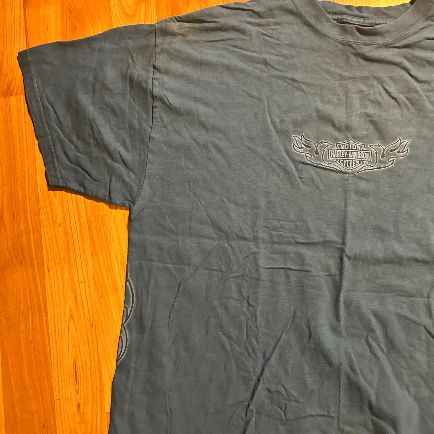 00’s Harley Davidson Ocala Blue Tshirt - Large - 23" x 29.5"