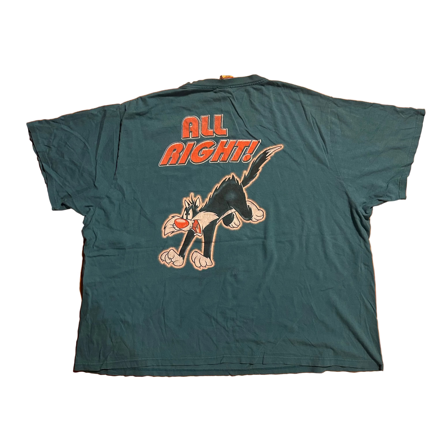 00’s Looney Tunes Tweety Bird Sylvester Stay Out Of My Way Alright Teal Tshirt - XLarge - 28.5" x 29"