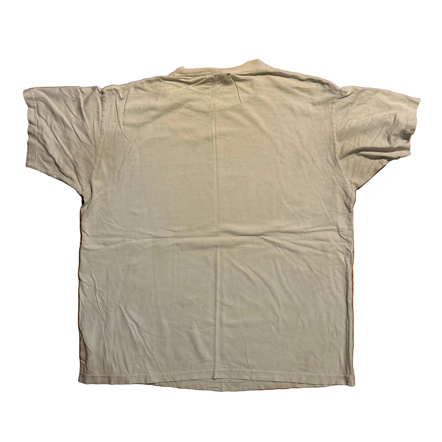 90’s Looney Tunes Swim Team Tweety Bird White Paper Thin Tshirt - XLarge - 25.5" x 28.5"
