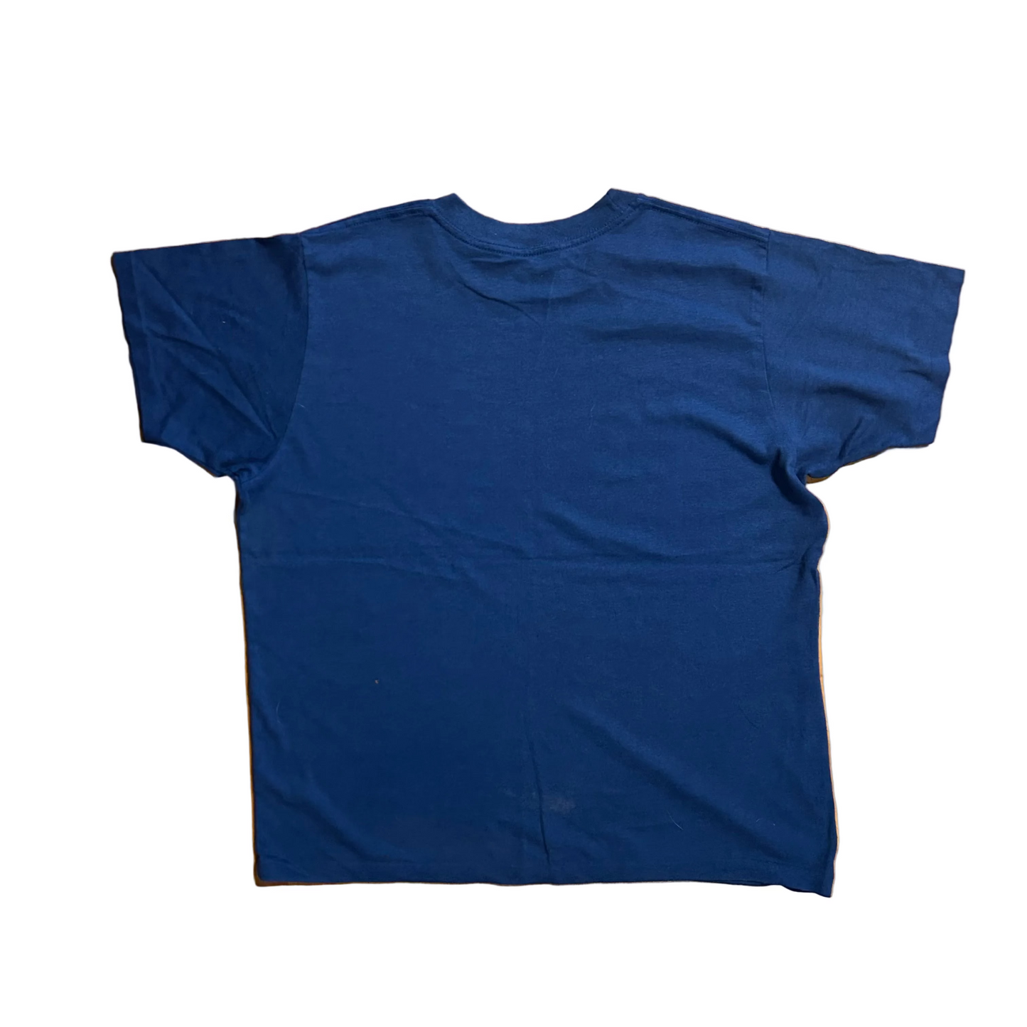 80/90’s Arizona Cactus Blue Tshirt - Large - 22" x 25"