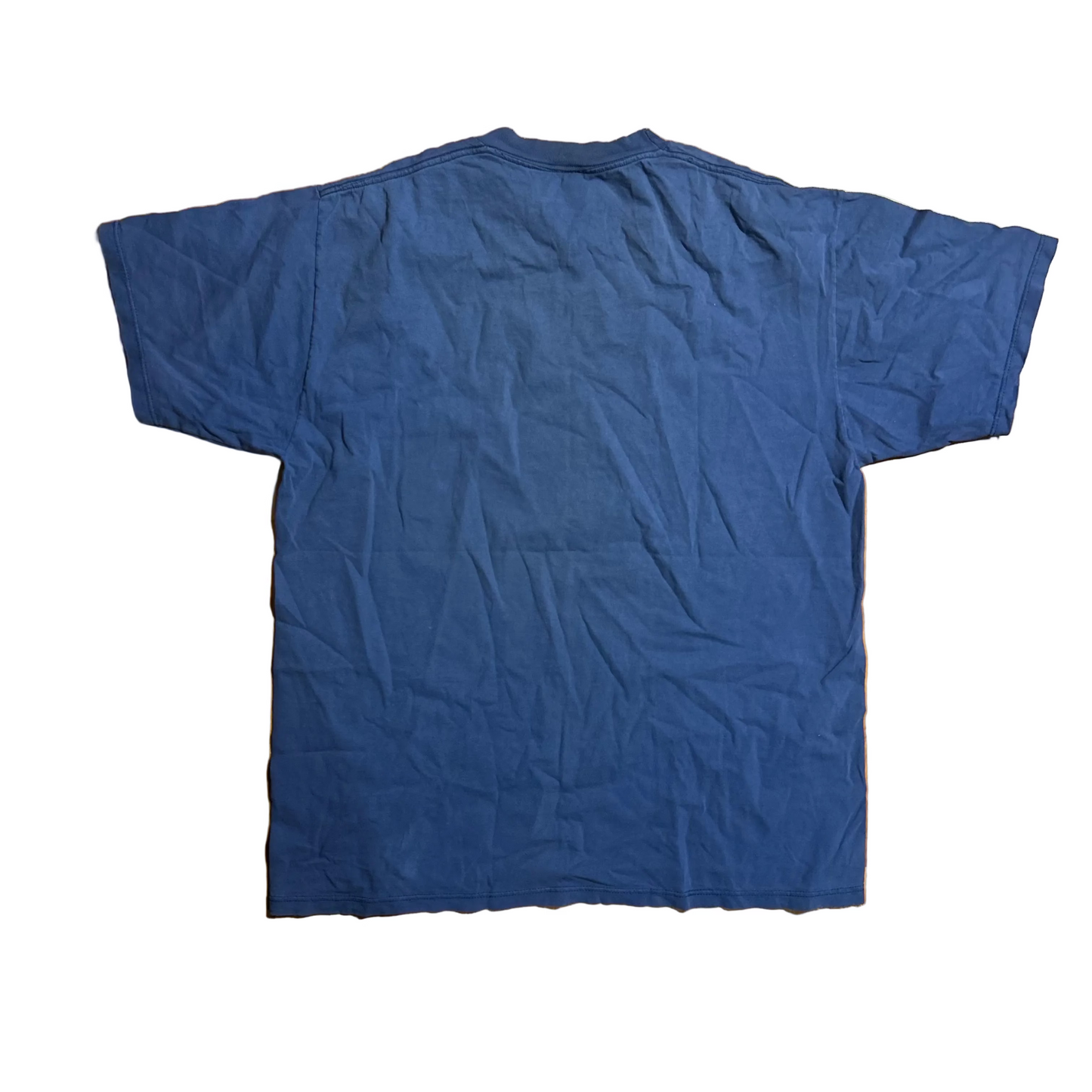 90's Jerzees Memphis Tigers University College Blue Tshirt - Large - 23" x 29"