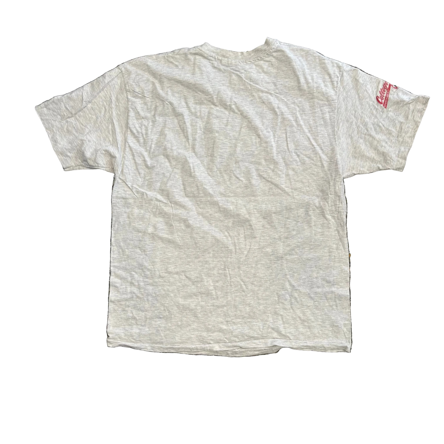 90’s Hanes Beefy Delta Sigma Theta Grey Tshirt - Large - 23" x 30"