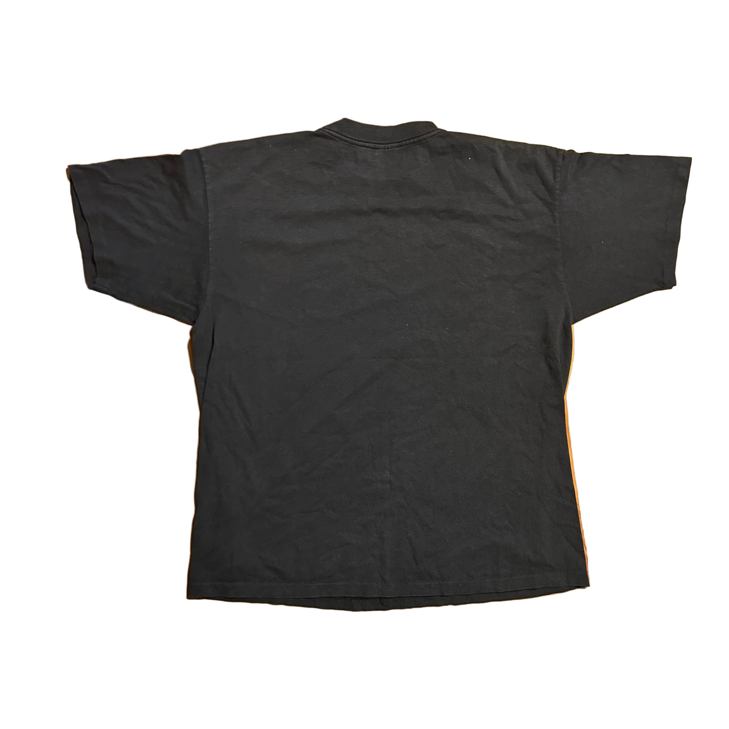 90's Sunshine Apparel Black Florida Birds Tshirt - Large - 22.5" x 28"