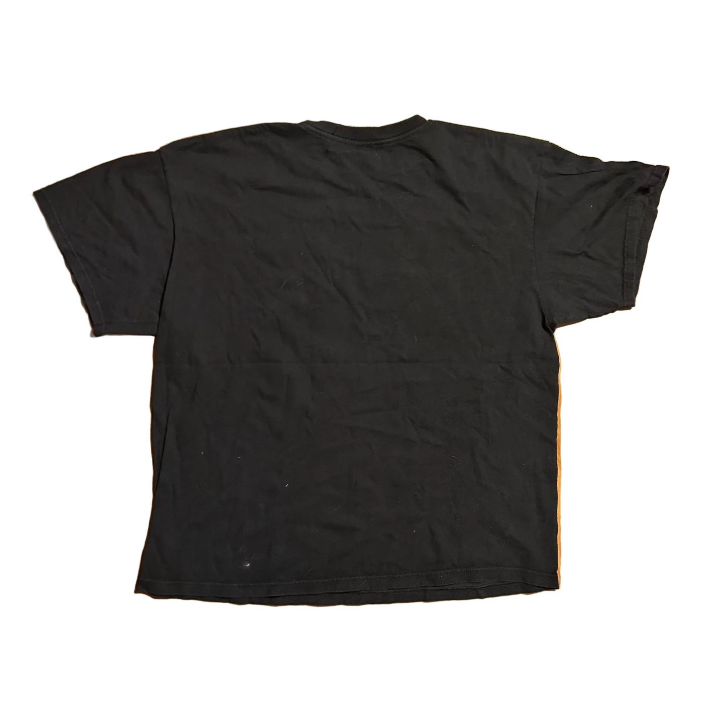 AMC The Walking Dead TV Black Tshirt - Large - 22" x 26.5"