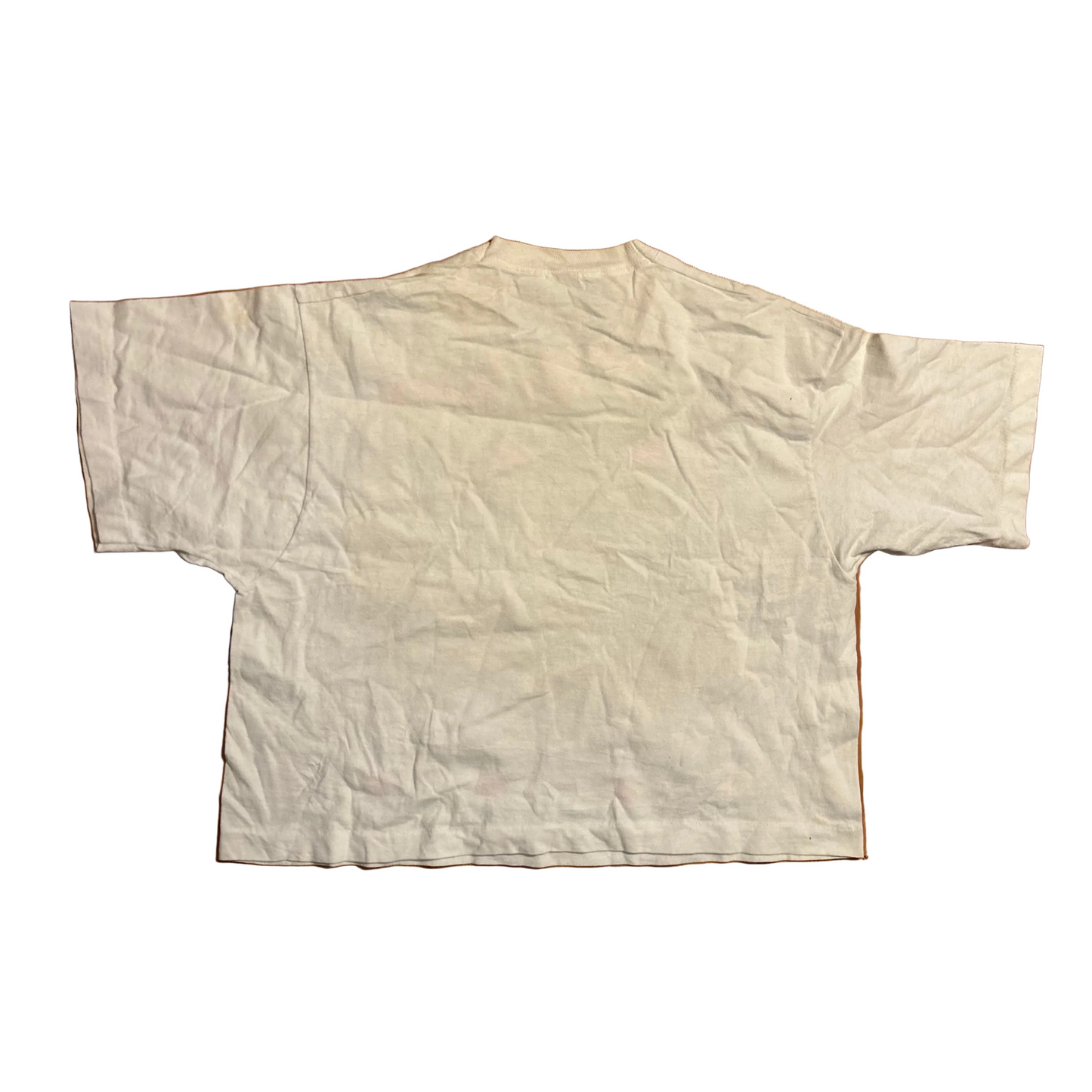 90's FOTL Colorado Cat Tshirt - Boxy Large - 22" x 21.5"