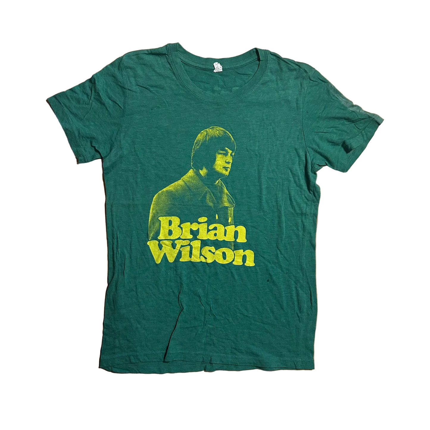 Brian Wilson Pet Sounds 50th Anniversary Green Tshirt - Small - 19" x 27"