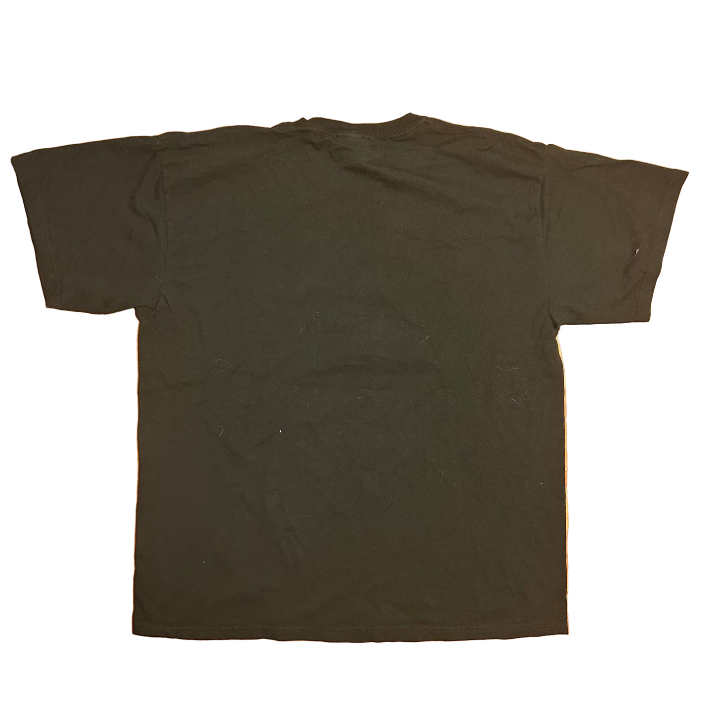 Gildan Green Bay Packers Titletown Cotton Super Bowl Champions NFL Football Green Tshirt - Large - 23" x 29"