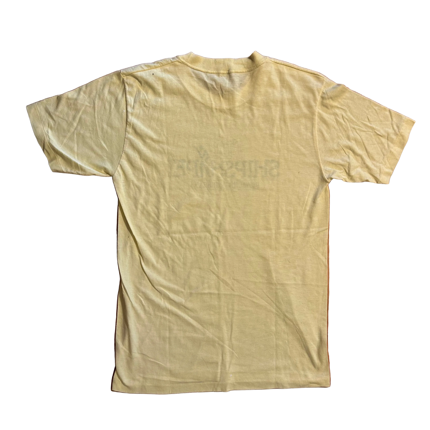 80's Royal Caribbean ShipShape Yellow Tshirt - Small - 18" x 28"
