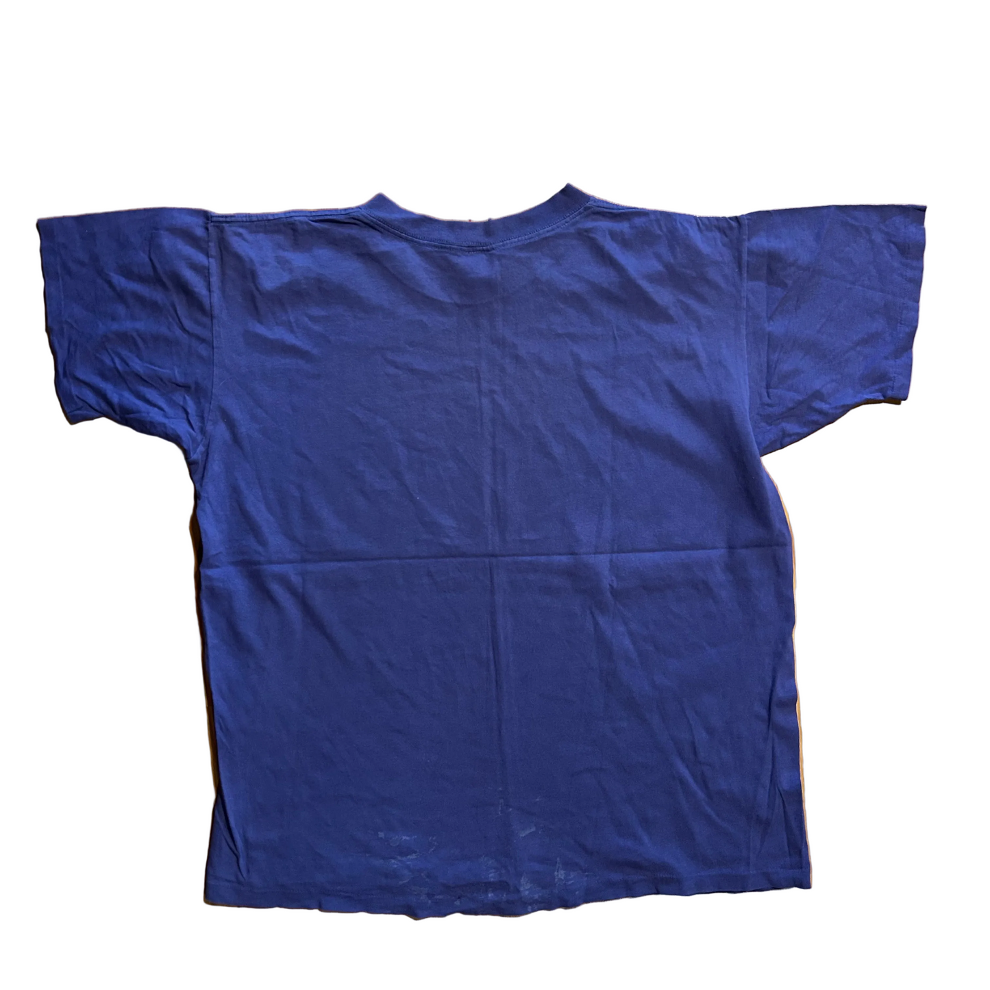 80/90's I Survived The Buffalo Purple Tshirt - Large - 22.5" x 27"