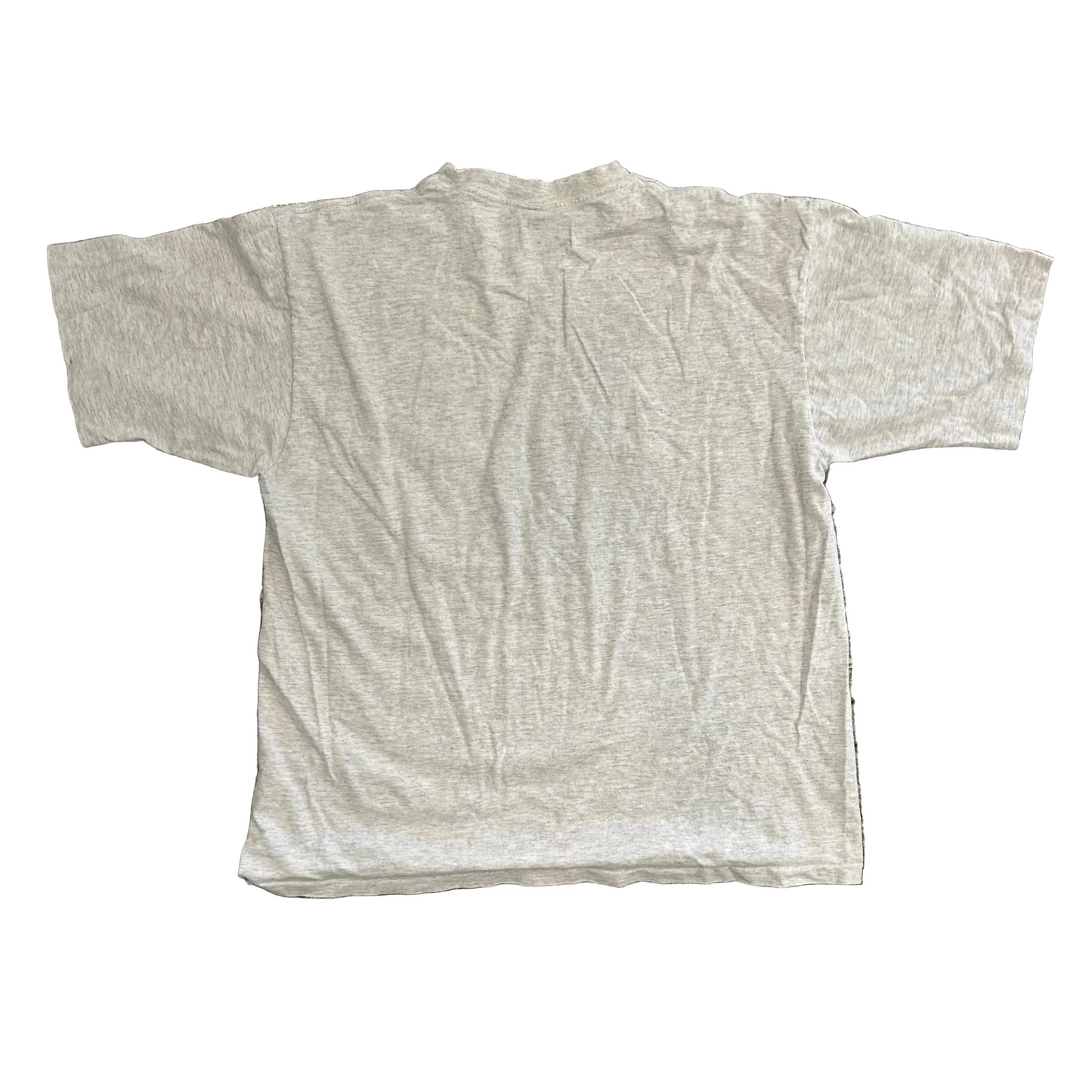 Freshwater Aquarium Chattanooga Tennessee Grey Tshirt - Large - 22" x 27"