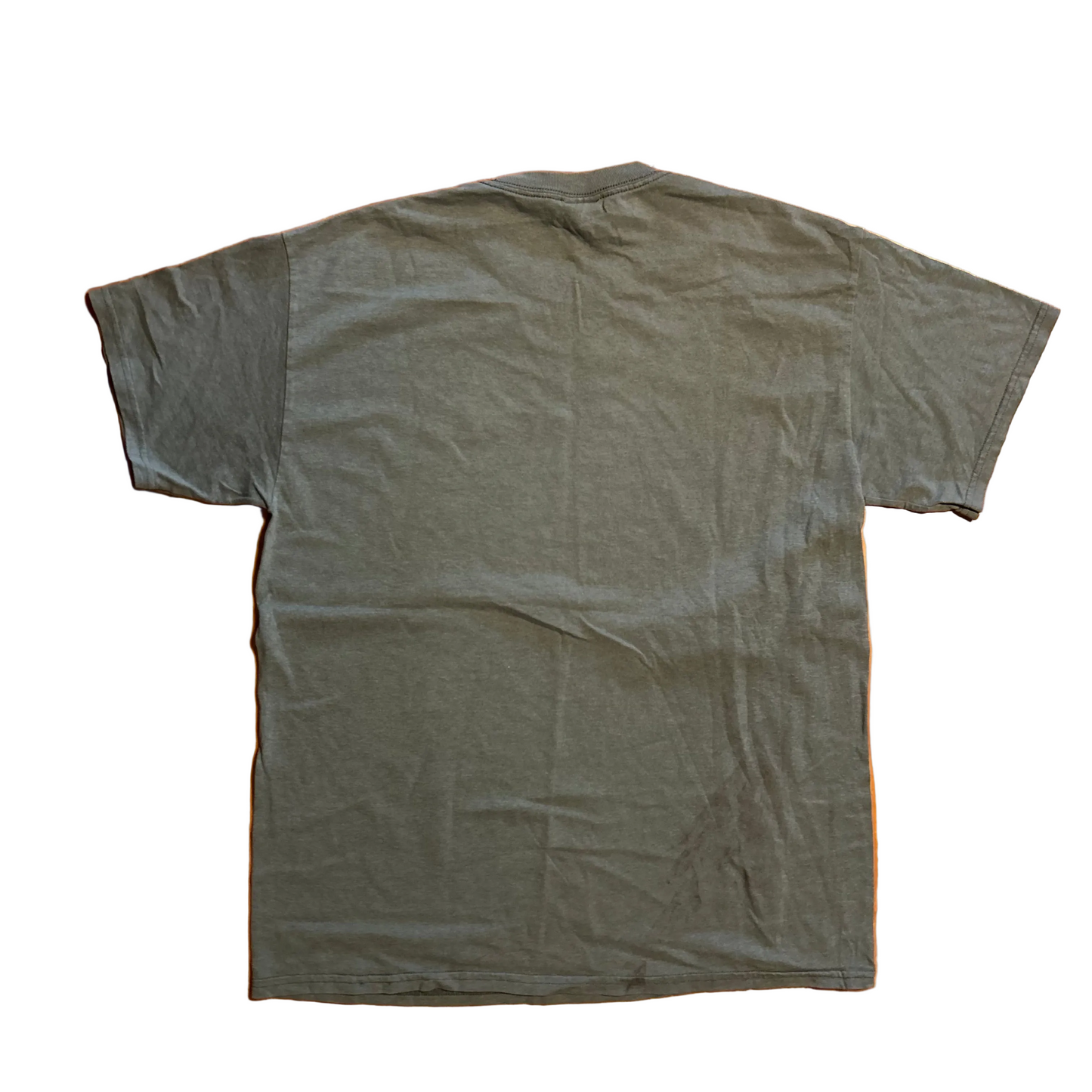 Gildan Heavy Cotton Green Blank Tshirt - Medium - 21.5" x 28"