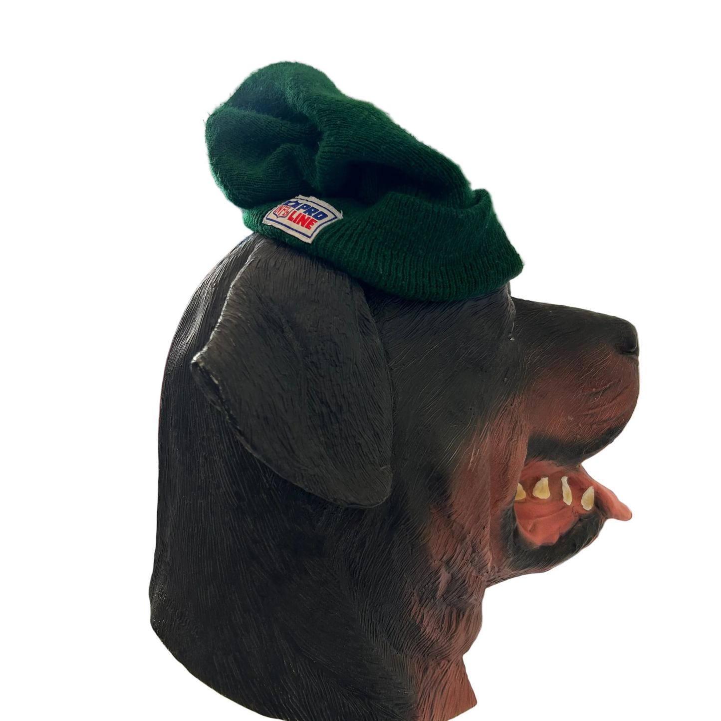80/90’s Sports Specialties NFL Green Bay Packers Beanie Hat