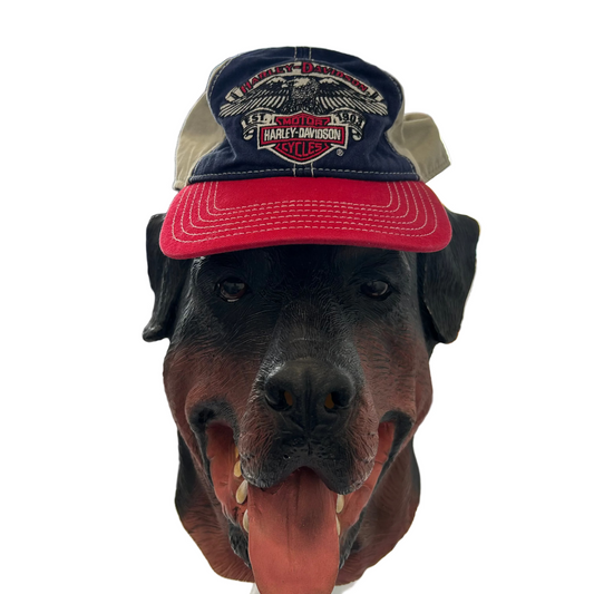 Harley Davidson Tan Blue Red Cotton Hat