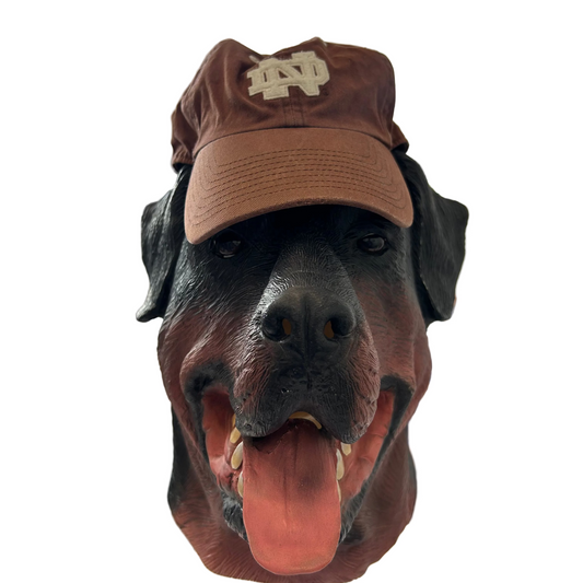 Notre Dame University Brown Cotton Hat