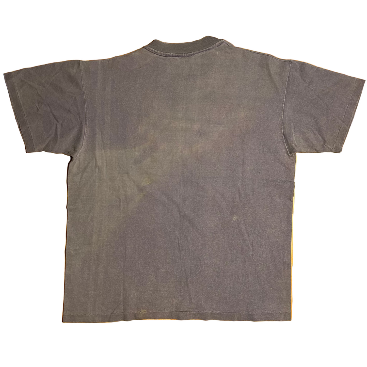 90's Cactus Pepper Jalepeno Light Purple Blue Cotton Tshirt - Large - 23.5" x 29"