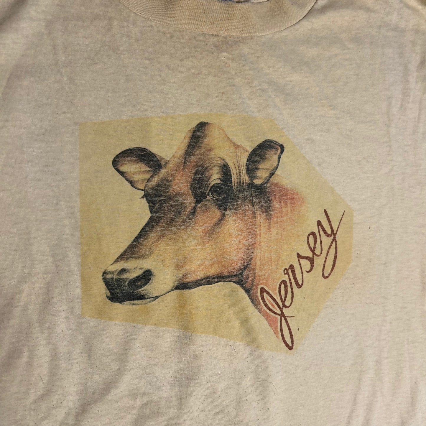 90’s Hanes Heavyweight White Jersey Cow Portrait 50/50 Cotton Polyester Tshirt - Medium - 21.5” x 28”