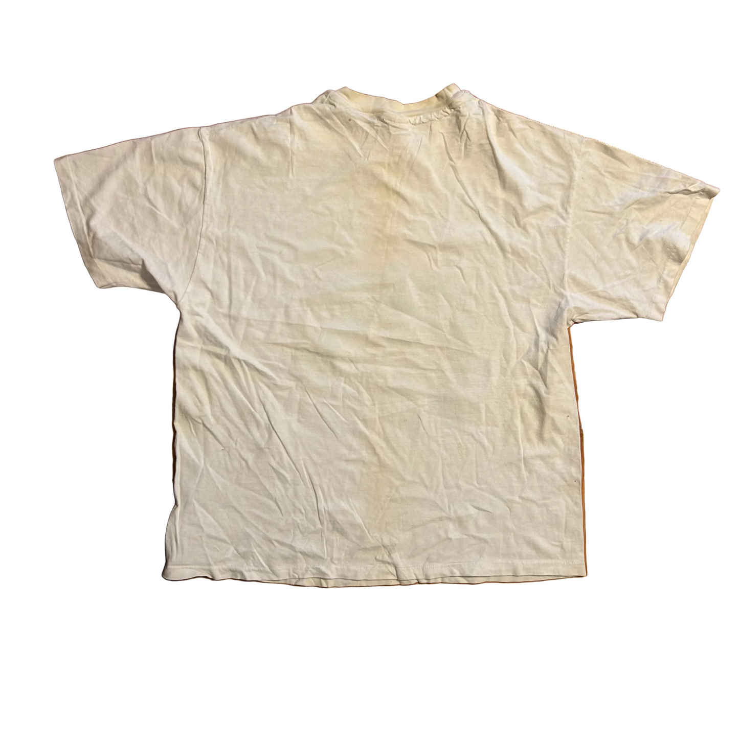 90's Hanes Beefy Bill Dance Outdoors TNN Tennessee White Fish Hat Tshirt - Medium - 21" x 26"