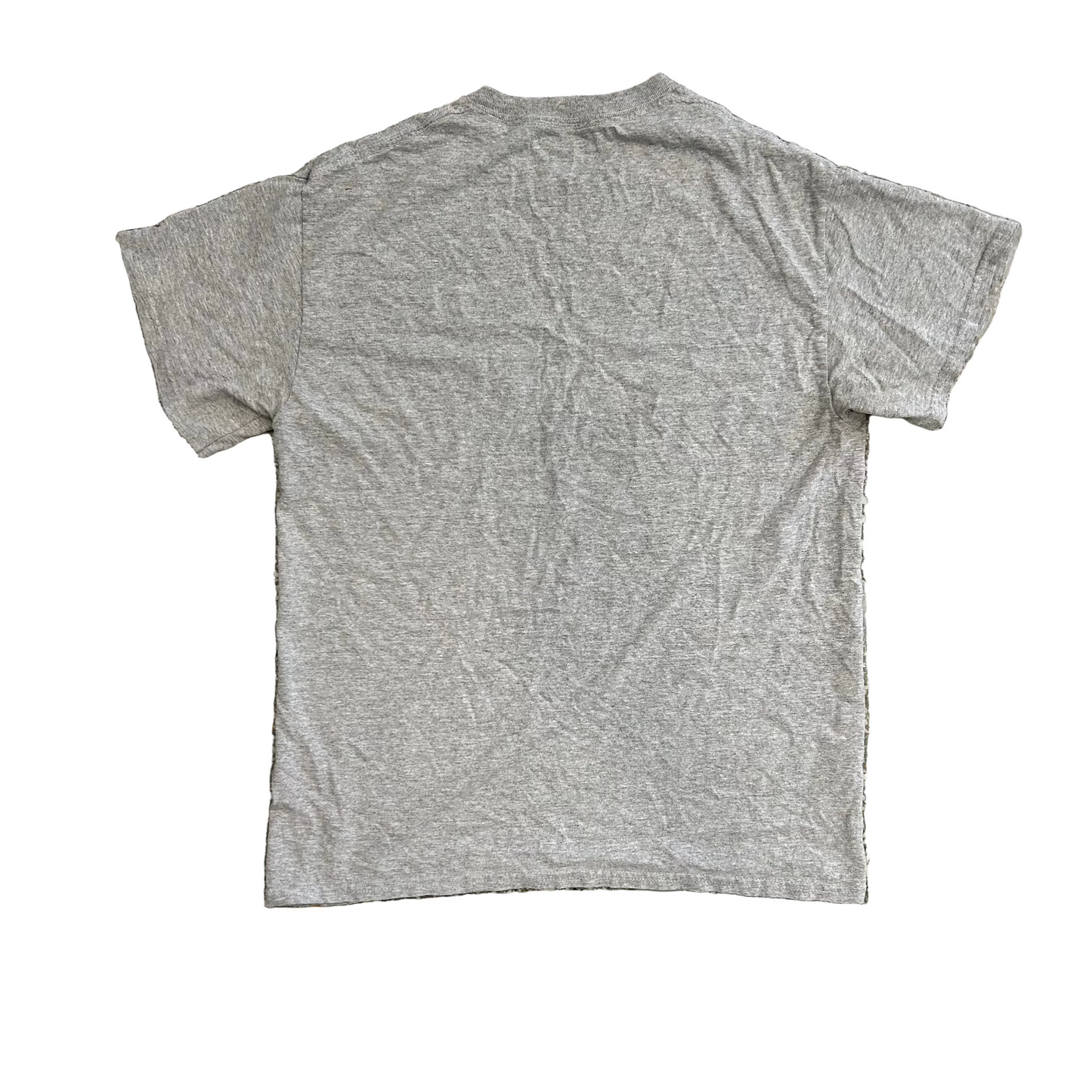 Activities for Kids Sacrifice Toby Grey Tshirt - Small - 19" x 26"