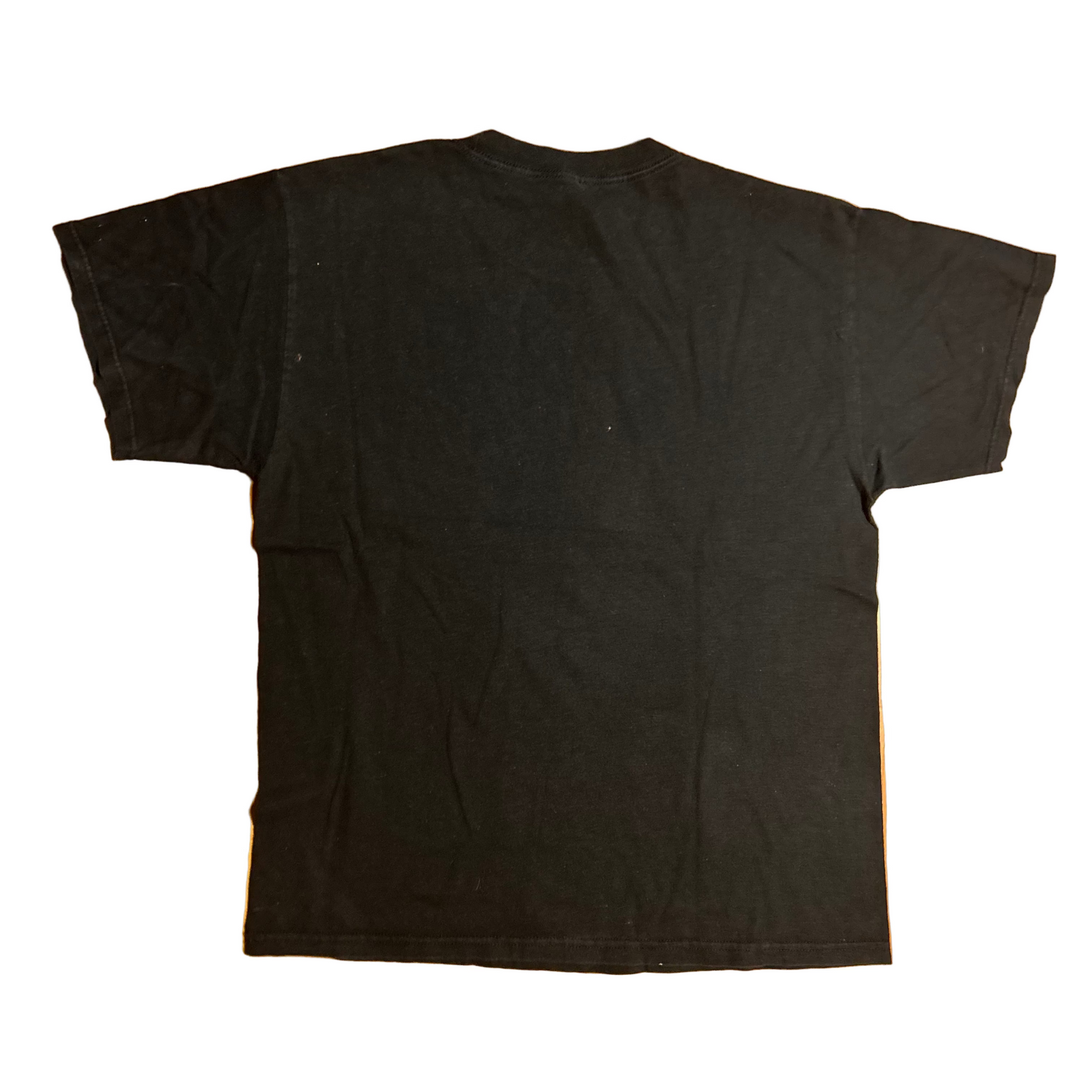 Alstyle Apparel and Activewear Y2K Design Skull Wings Black Cotton Tshirt - Large - 22" x 28.5"