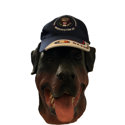 Washington DC United States of America Navy Blue Hat