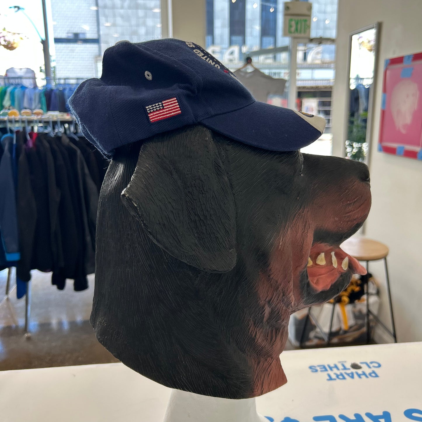 Washington DC United States of America Navy Blue Hat