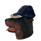 Washington DC United States of America Navy Blue Hat