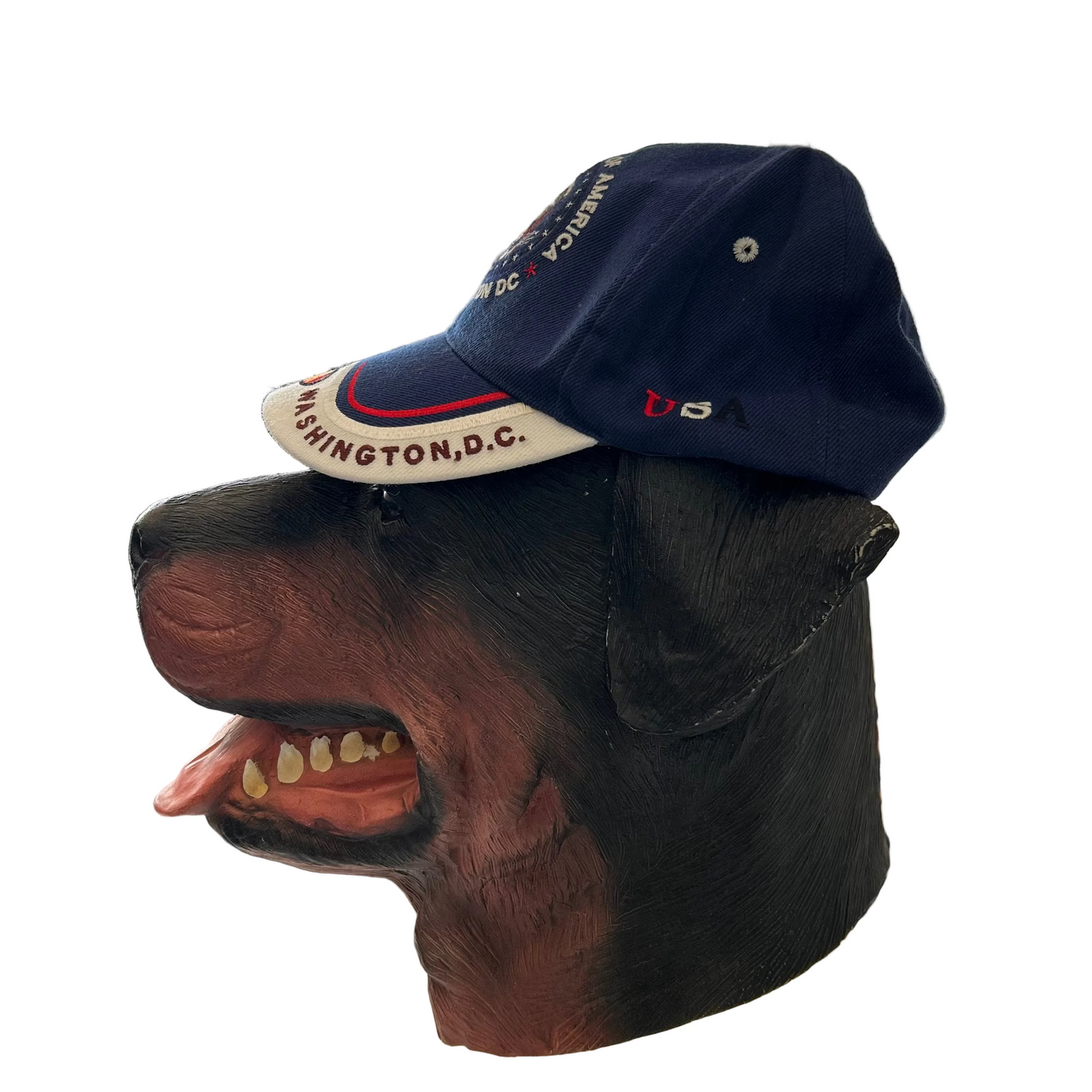 Washington DC United States of America Navy Blue Hat