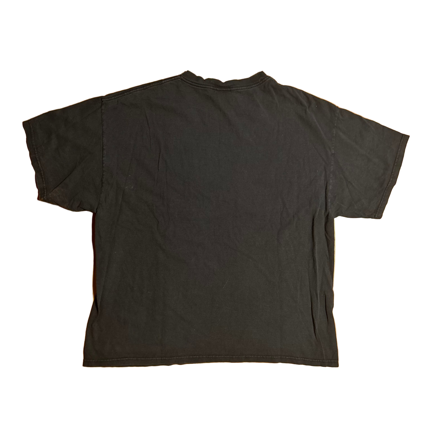 Delta Pro Weight Forgiven 2004 Bleached Black Grey Faded Cotton Tshirt - Large - 23" x 27.5"