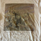 90’s African Lions Vanishing Species Tan Tshirt - Small - 19" x 29"