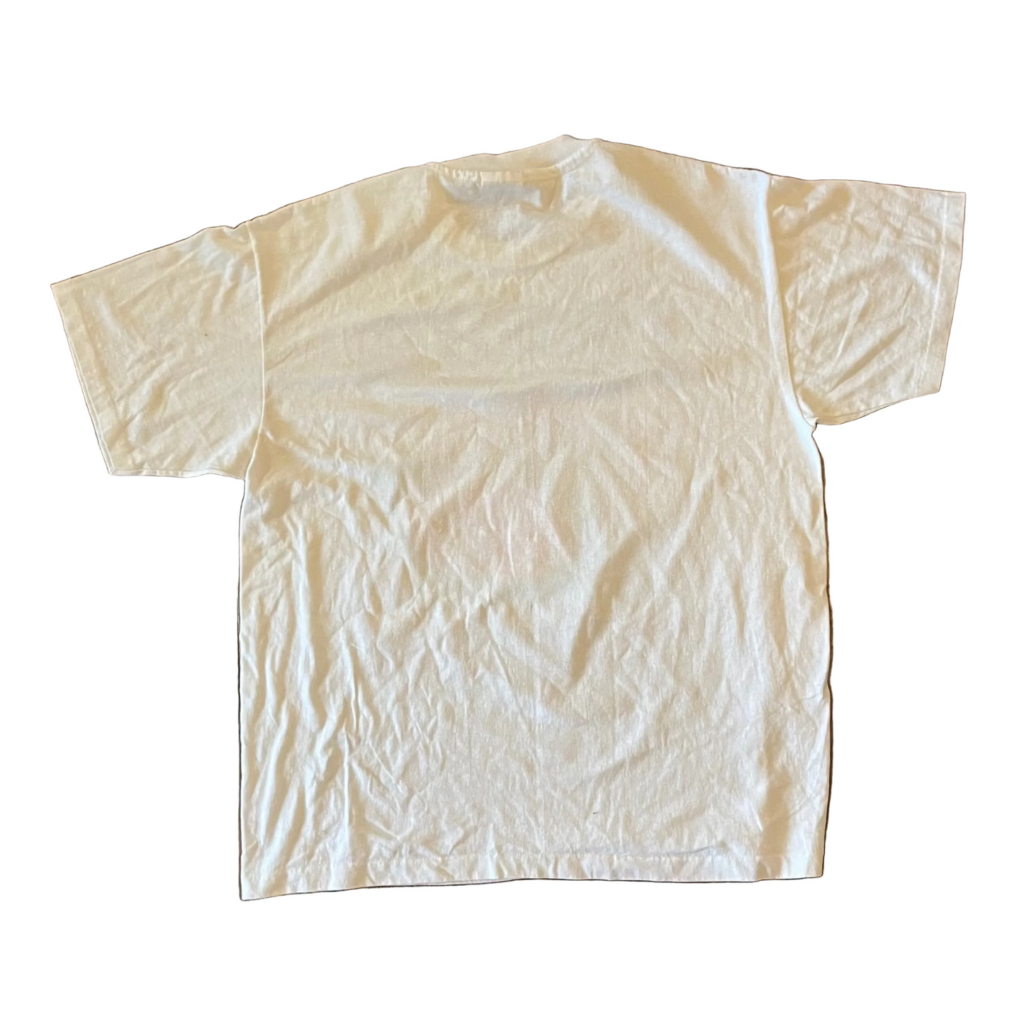 90’s Hanes Heavyweight I Survived Hurricane Opal White Tshirt - Medium - 21.5" x 25"