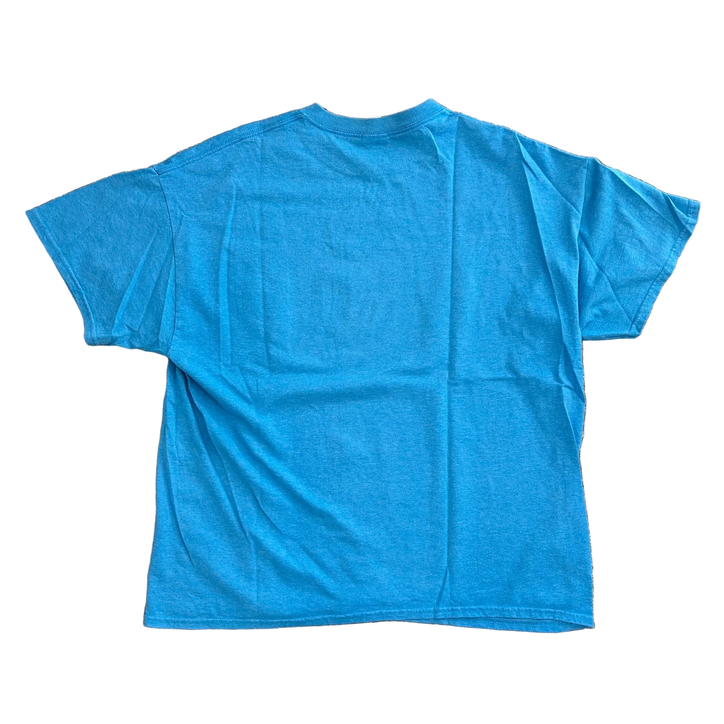 Desert Cactus Blue Tshirt - Large - 23" x 28"