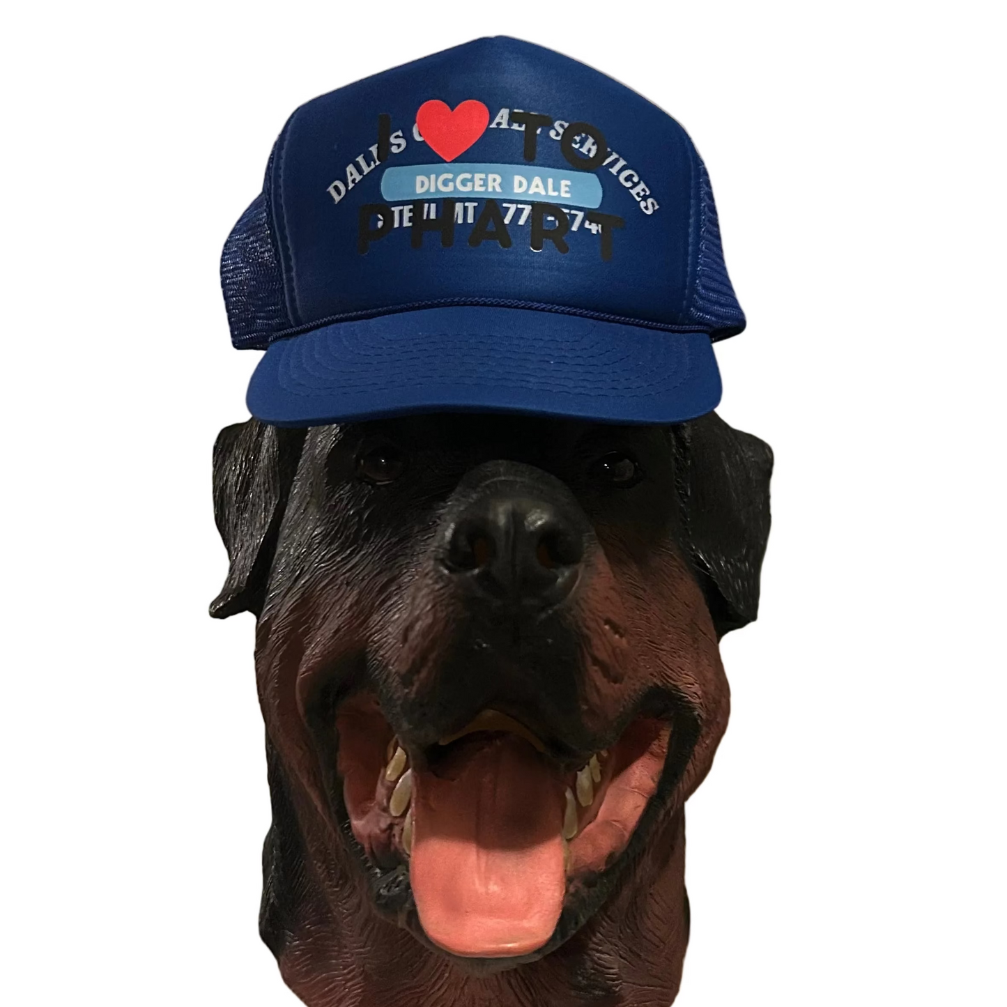 I Heart To Phart Hat - Repurposed Phart Merch